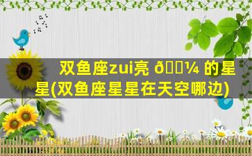 双鱼座zui
亮 🐼 的星星(双鱼座星星在天空哪边)